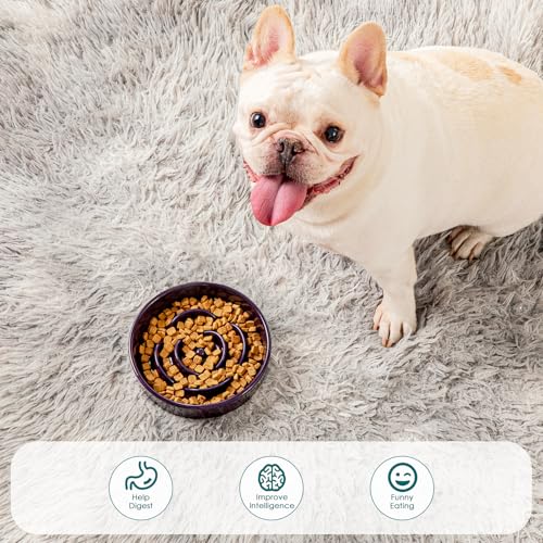 Slow Feeder Dog Bowl (S - 0.6 Cups / Dark Purple)