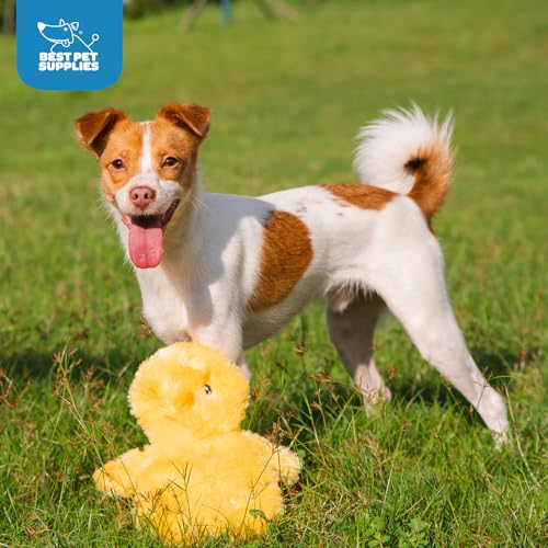 Interactive Squeaky Dog Toy (Crinkle Chicken (Yellow) / Large)