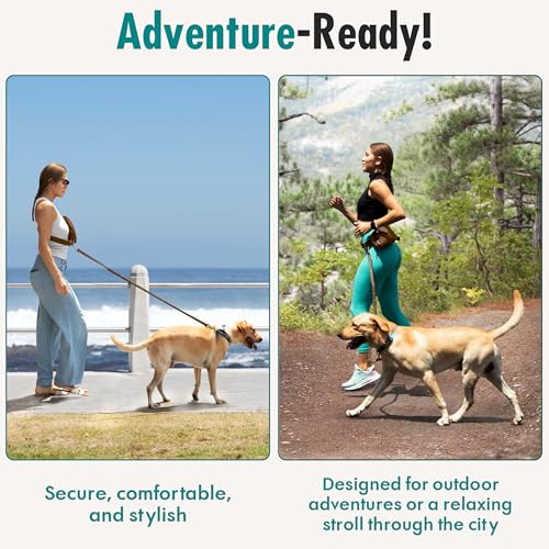 Hands Free Dog Leash with Dog Treat Pouch (Caramel)