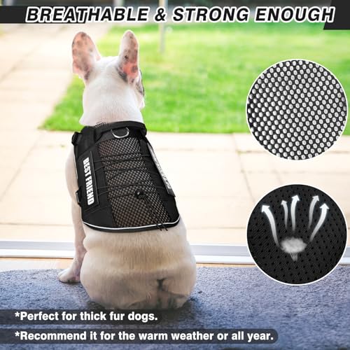 Service Dog in Training Mesh Harness with 10 Removale Pet Patches (X-Large / Black)