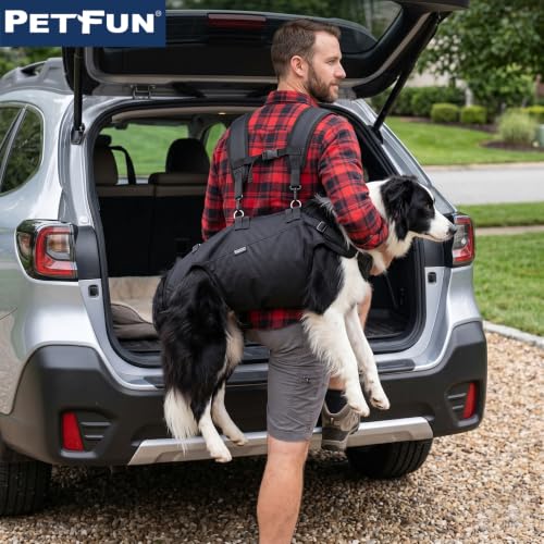 Dog Backpack Carrier Lift Harness (Medium)