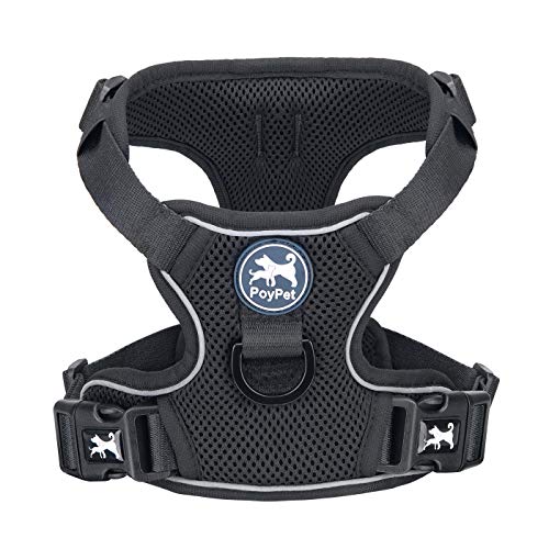 Mesh Dog Harness (S / Black)