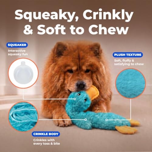 Interactive Squeaky Dog Toy (aCrinkle Duck (Turquoise) / Large)