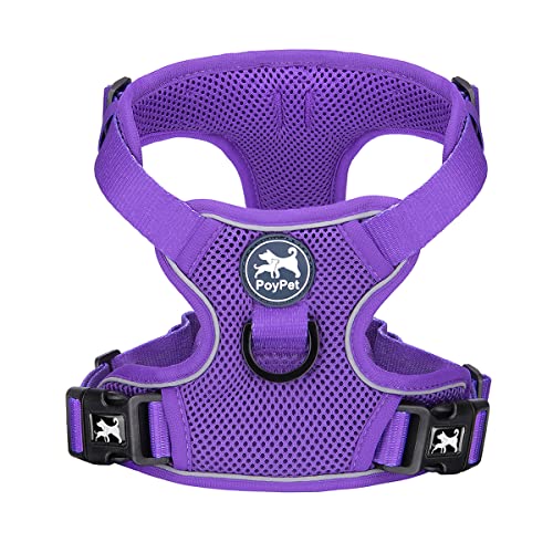 Mesh Dog Harness (XL / Purple)