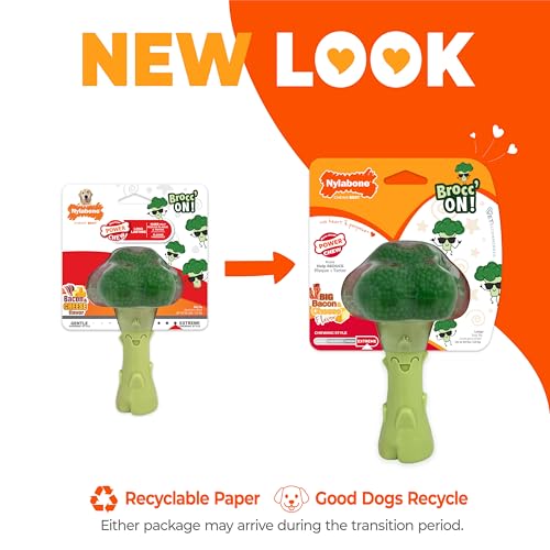 Power Chew Broccoli Dog Chew Toy (Broccoli 1 Pack / Large)