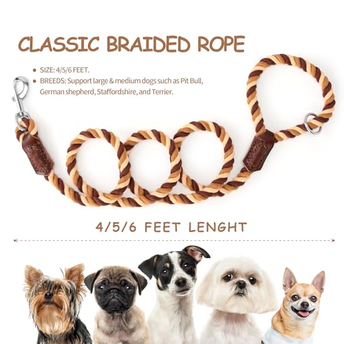 Rainbow Dog Leash Braided Cotton Rope w Leather (Brown Gradient / 72 Inch-1/2")
