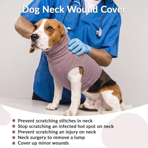 Dog Snood Post Surgery (Purple / XL(Chest: 27.6"))
