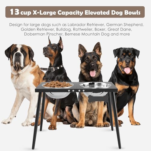 Metal Elevated Dog Bowls (Height-17inch / Black-XX)