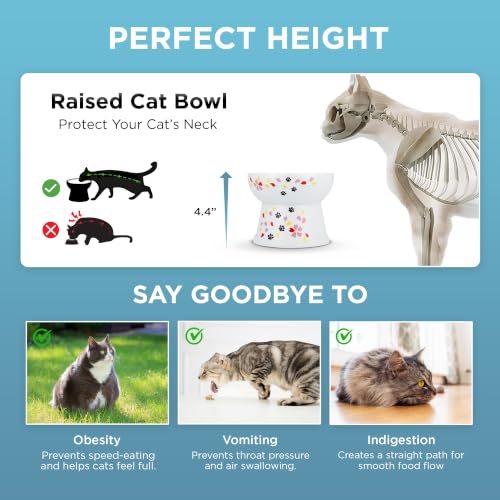 Necoichi Ceramic Elevated Cat Food Bowl (Sakura / Large)