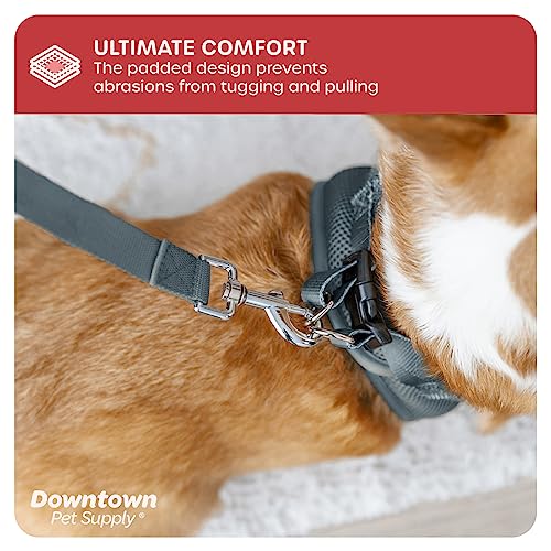 Step in Dog Harness for Small Dogs No Pull (X-Small / Titanium)