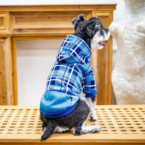 Plaid Dog Hoodie (Medium / Blue)