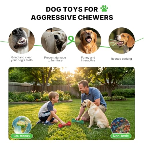 Dog Toys for Aggressive Chewers (Mr. Bone - Double)