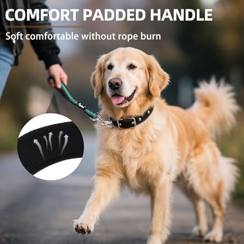 Reflective Short Dog Leashes 3 Pack for Walking and Training (Green / 1FT+1.5FT+2.5FT)