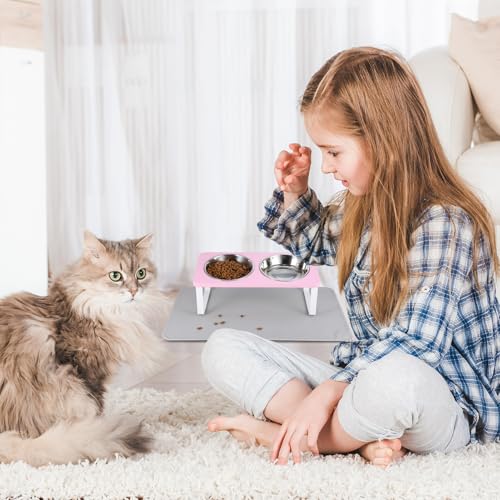 Upgraded Elevated Cat Bowls with Food Mat