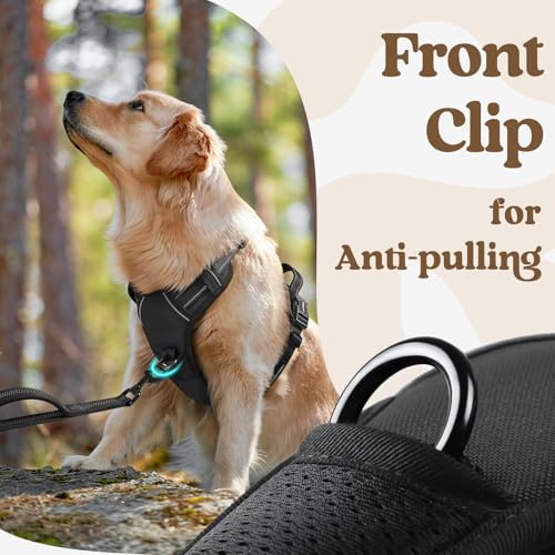 Dog Harness Medium Sized (Medium / Black)