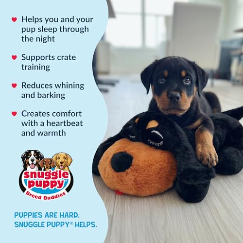 Snuggle Puppy Heartbeat Toy (Large Breed Rottie / 1 Count (Pack of 1))