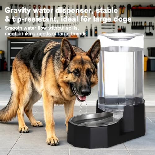 8L Large Dog Water Dispenser (Black / 8L Without Filter)