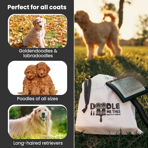 Slicker Dog Brush