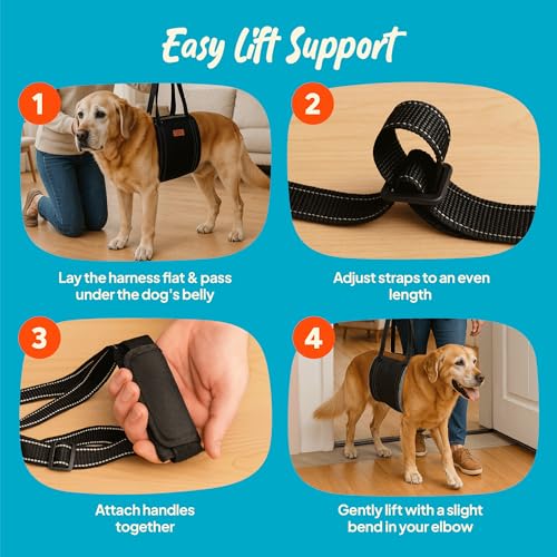 Dog Lifting Harness (M)