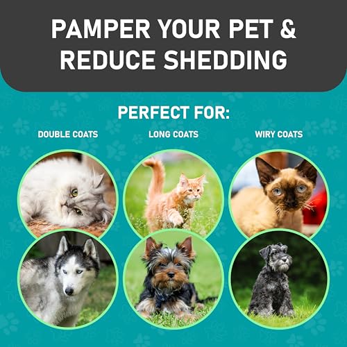 Pet Grooming Brush (C1 - Brush & Gloves / Large)