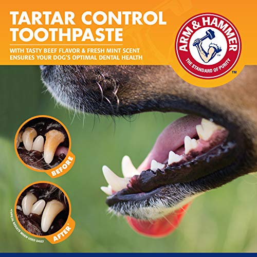 Tartar Control Dog Dental Kit (2.5 Ounce (Pack of 48))