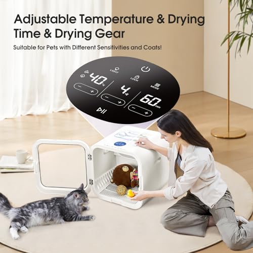Automatic Pet Dryer Box for Cats and Small Dogs (62L)
