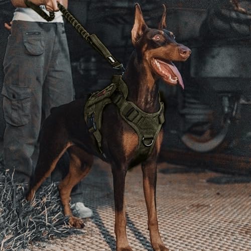 Tactical Bungee Leash with 2 Handles Quick Release (Green / 85cm-118cm/33.5in-46.5in)