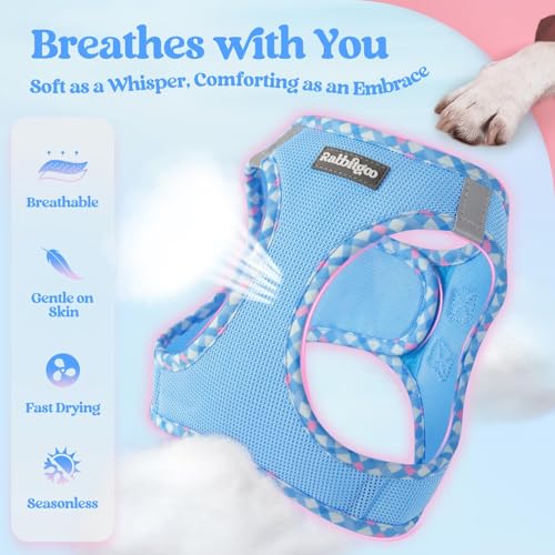 Dog Harness Small Sized and Leash Set (Blue & Plaid Trim / Xs (chest: 13.3 - 15.5"))