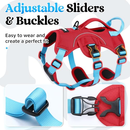 Escape Proof Dog Harness for Small (Sky Blue & Red / Small)