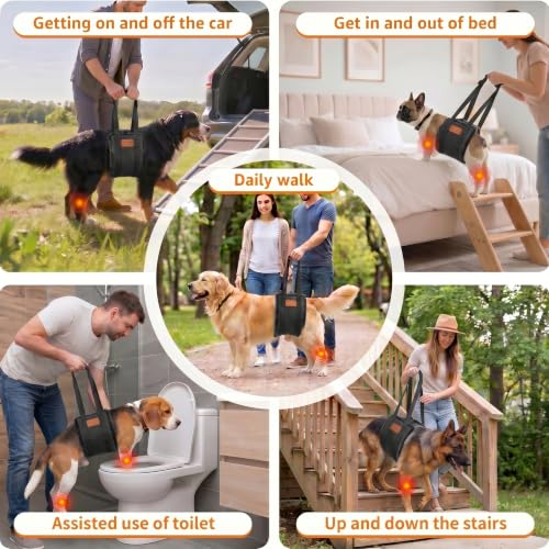 Adjustable Dog Lifting Harness (Grey / Medium)