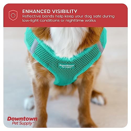 Step in Dog Harness No Pull (XX-Large / Bermuda Blue)