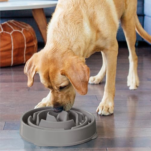 Fun Feeder Slo Bowl Dog Slow Feeder (Gray / Large)