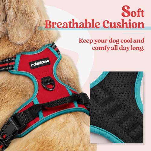 Dog Harness No Pull for Large Dogs with 2 Leash Clips (Large / Red & Teal)