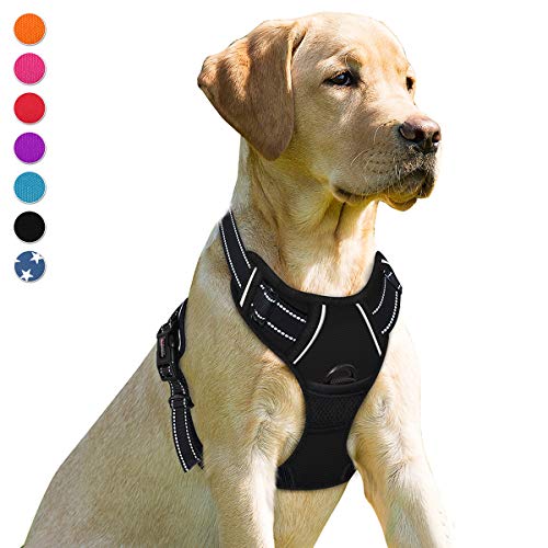 Dog Harness No Pull for Medium Sized Dog Front Back Clips (Medium(Chest:22.5-28") / Black)