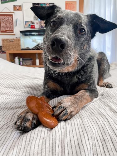 Power Chew Pretzel Dog Chew Toy (Pretzel 1 Pack / Small)