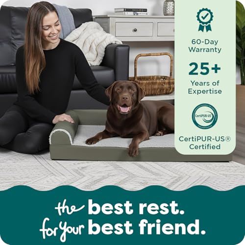 Orthopedic Dog Bed for Large Dogs (Jumbo / Dark Sage)