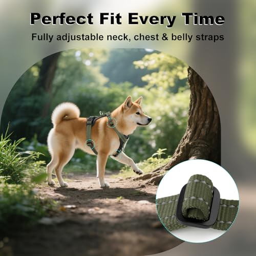 No Pull Dog Harness with Leather Accents (S / Ranger Green)