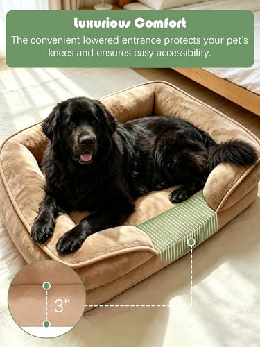 Orthopedic Dog Bed with Sides (53.0"L x 42.0"W x 8.0"Th / Brown)