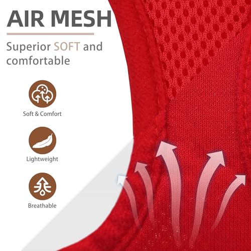 Dog Harness Collar and Leash Set No Pull for Small Medium Sized (Solid Red / M (CHEST 16"-18"))