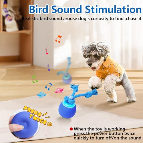 Interactive Dog Toys (Dark blue)