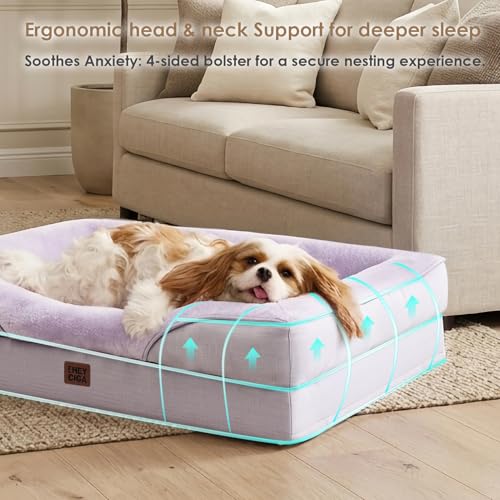 Orthopedic Dog Bed for Medium Dog (Purple / 35x22x6.5)
