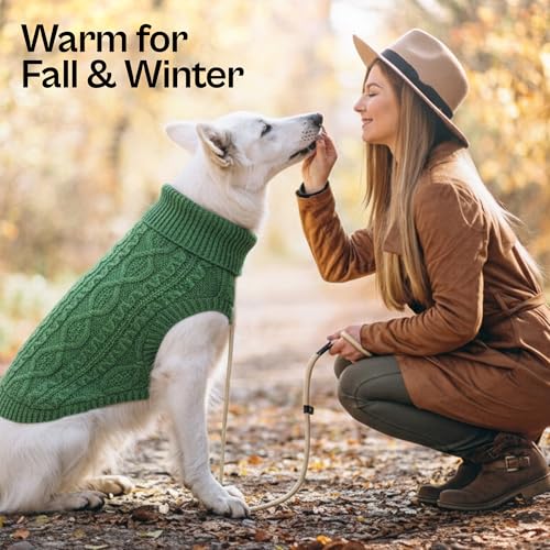Unisex Dog Sweaters (XL / Cable Knit Green)