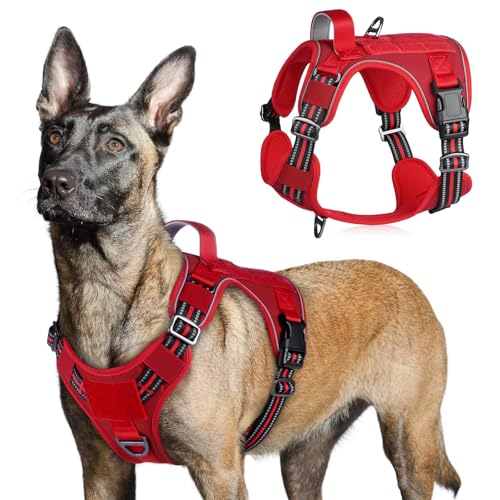 Tactical Dog Harness for Large (Red / Large)