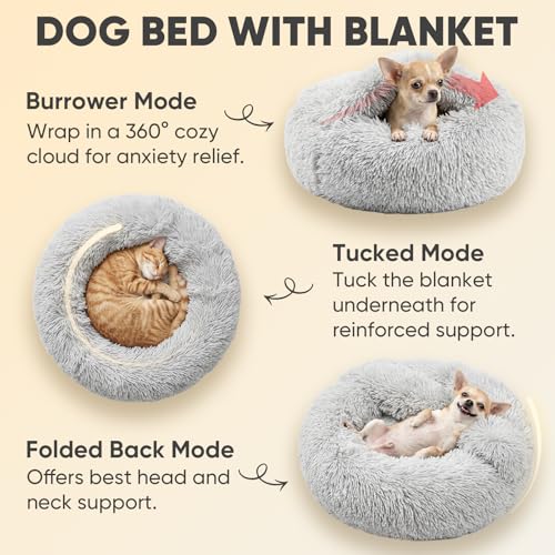 Small Cat & Dog Bed with Cover (20.0"L x 20.0"W x 7.0"Th / Light Grey)