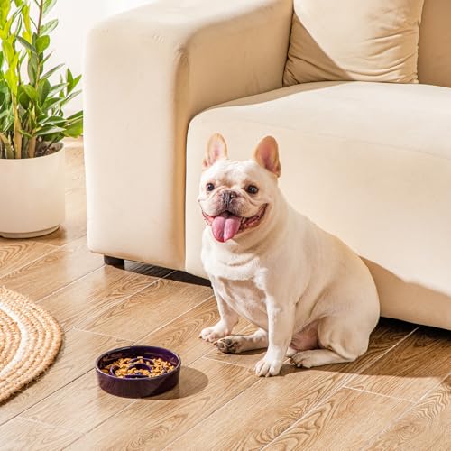 Slow Feeder Dog Bowl (S - 0.6 Cups / Dark Purple)