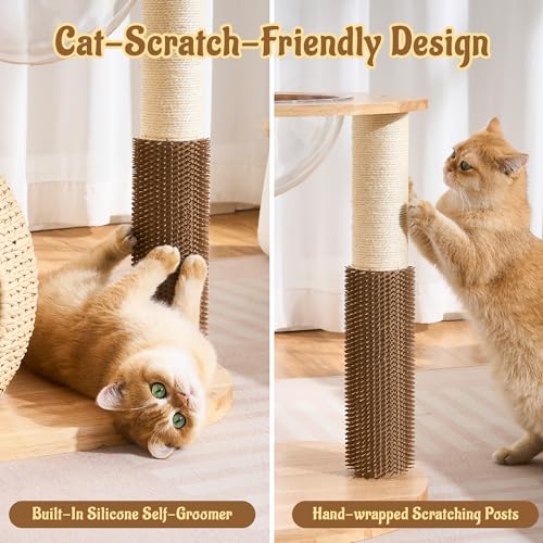 Modern Cat Tree for Indoor Small & Medium Cats (Natural w/ Capsule-38")
