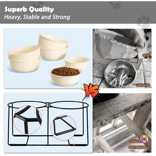 Ceramic Elevated Dog Bowl Set (Beige / XL × 2)