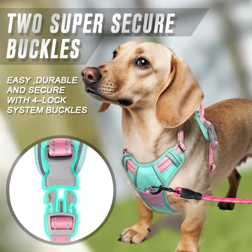 Dog Harness No Pull for Small Sized Dog Front Back Clips (X-Small(Chest:15.5-19.5”) / Cool Mint & Baby Pink)