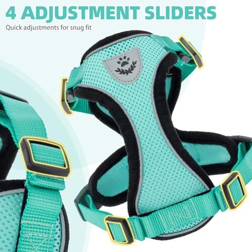 Cat Harness and Leash Set Escape Proof Reflective Cat Walking Harness Adjustable Soft Breathable Mesh Vest for Small Pets (L (NECK 14"-18", CHEST 18"-26.5") / Aquamarine)