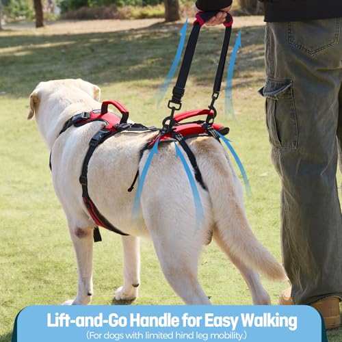 Dog Lift Harness for Large Dogs (Red / Large)
